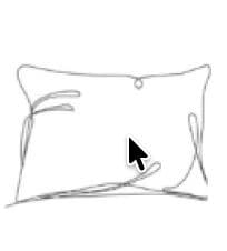 Wellness and Botanicals